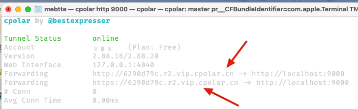 cpolar 状态面板, 可以选择通过 HTTP 还是 HTTPS 域名进行连接 cpolar 状态面板, 可以选择通过 HTTP 还是 HTTPS 域名进行连接